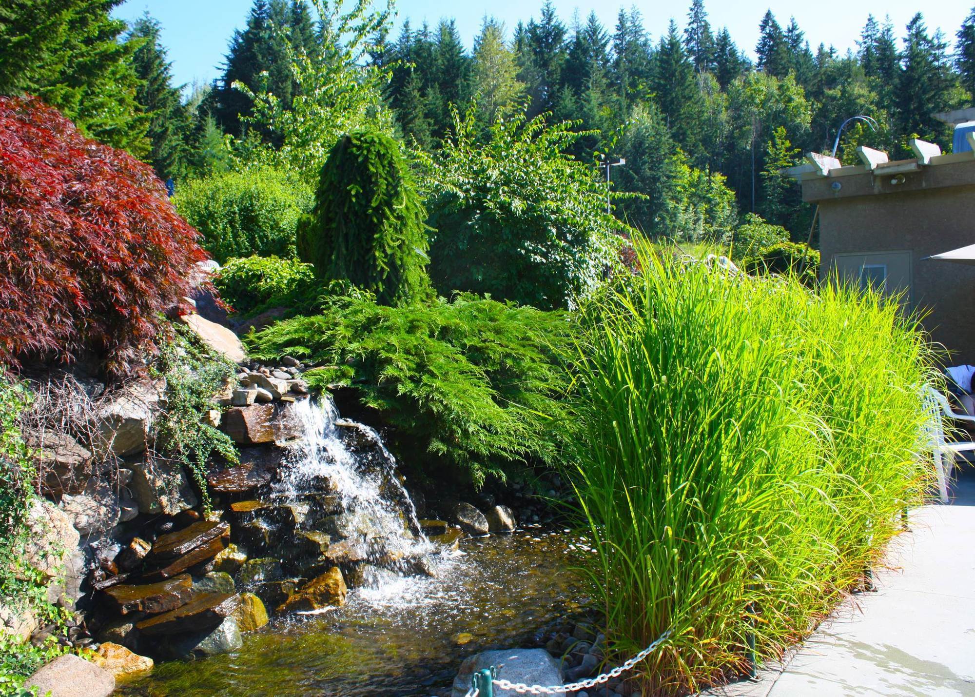 Hilltop Inn - Salmon Arm Buitenkant foto